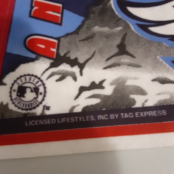 AL West,  2 of 5 Team Felt Pennants,  Vintage - Picture 8 of 8